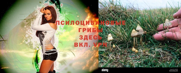 кокаин VHQ Горнозаводск